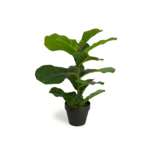 Τεχνητό Φυτό Ficus Lyrata 50 cm Inkazen 40081828 - Image 3