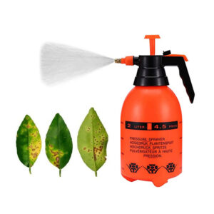 Ψεκαστήρας Πίεσης Χειρός 2 Lt Verk Group 5907451343272 - Image 3