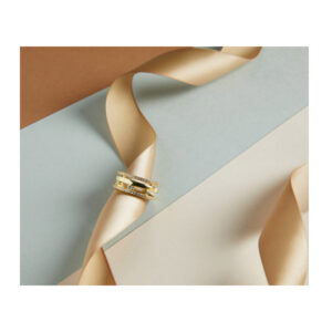 Δαχτυλίδι Alevine Jewellery Olivia με Πέτρες Ζιργκόν 8720604880038 - Image 2