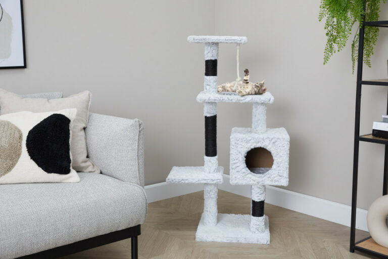 Ονυχοδρόμιο Zebra   108 x 74 x 40 cm  8720604884739 Lifa-Living - Image 2