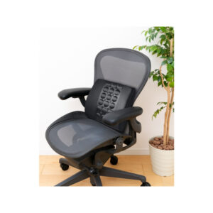 Εργονομικό Μαξιλάρι Πλάτης με Memory Foam Lifenaxx LX-022 - Image 3