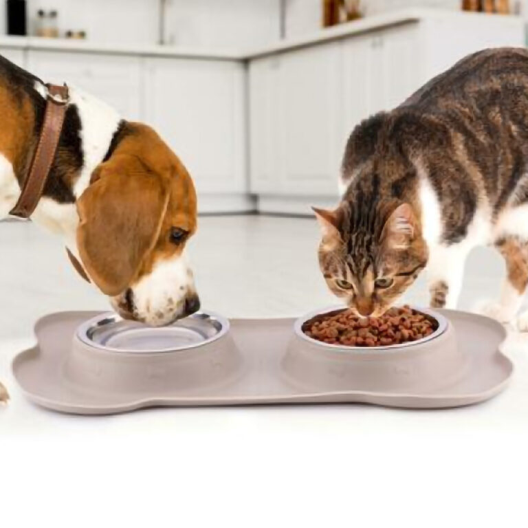 PET TREATMENT Διπλό Μπολ Κατοικίδιων με Σιλικόνη Δίσκου - Χωρητικότητα 2 x 400 ml για Σκύλους & Γάτες 02840581