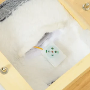 Κουνιστό Άλογο HOMCOM σε σχήμα σκύλου γεροδεμένο για παιδιά από 18-36 μηνών, 60x33x50 cm, γκρι 330-162V00GY - Image 7