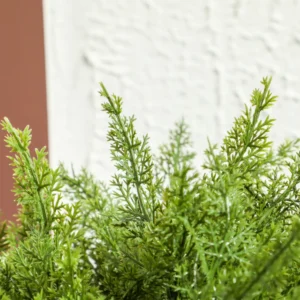 HOMCOM  Ψεύτικο Φυτό Δέντρο Κέδρος με Γλάστρα Συμπεριλαμβανόμενη για Εσωτερικό και Εξωτερικό Χώρο, Ύψος 55 εκ., Πράσινο  830-953V00GN - Image 8