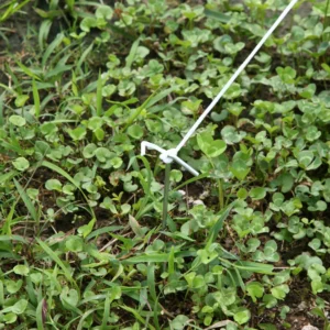 Outsunny σήραγγα θερμοκηπίου με κατασκευή από γαλβανισμένο χάλυβα και ύφασμα πολυαιθυλενίου 6 Λευκά παράθυρα 4 x 2 x 2 m 845-071V01 - Image 7