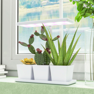 Χρονοδιακόπτη και Ρυθμιζόμενο Φωτισμό