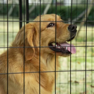 PawHut Foldable Dog Run με κάλυμμα, 8 πάνελ με πόρτα που κλειδώνει, 141x141x113cm, Μαύρο D02-095 - Image 7