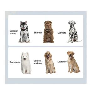 Σετ 2 Ανοξείδωτα Μπολ Γεύματος με Ξύλινο Συρτάρι για Κατοικίδια 60 x 30 x 36 cm PawHut D08-041V00WT - Image 5