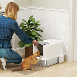 Φτυαράκι και Φιλτράρισμα