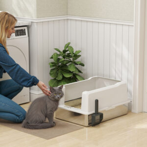 Δίσκο και Φτυάρι