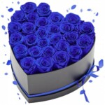 VEVOR Forever Flowers: 27 Διατηρημένα Τριαντάφυλλα σε Καρδιά