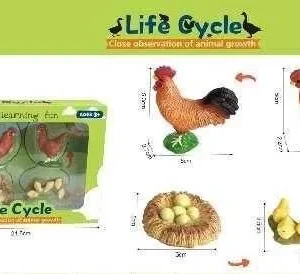 Εκπαιδευτικό σετ Κοτοπουλάκια - Life Cycle - 161113 - Image 2