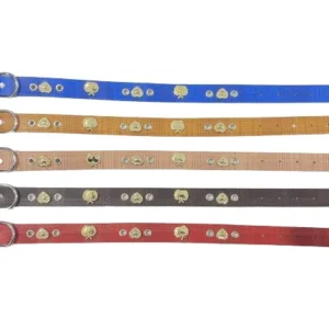 Περιλαίμιο - Κολάρο σκύλου - 2x46cm - 12pcs - 550187