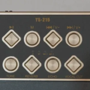 Ασύρματο ηχείο Bluetooth με 2 μικρόφωνα Karaoke - YS215 - 887271 - Grey - Image 12