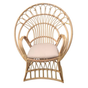 Πολυθρόνα Boloni Inart με μπεζ μαξιλάρι-φυσικό rattan 100x67x120εκ-314-000006