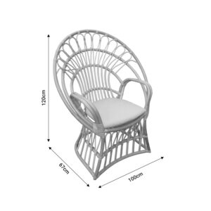 Πολυθρόνα Boloni Inart με μπεζ μαξιλάρι-φυσικό rattan 100x67x120εκ-314-000006