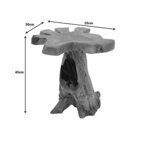 Βοηθητικό τραπέζι Mushile pakoworld teak ξύλο σε φυσική απόχρωση 30x35x45εκ-338-000005