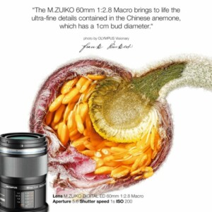 Olympus 60mm 1:2.8 MACRO BLACK M.ZUIKO DIGITAL (EM-M6028) Lense Micro FT - Image 5