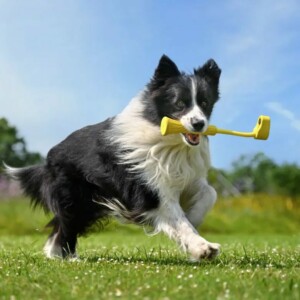 Insta360 GO 3 Fetch Stick - Image 5