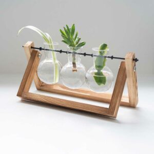 The Source - Home & Lifestyle - Propergator Vases - Ξυλινη βάση με βάζα για υδροπονική καλλιέργεια
