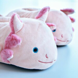 mm Axolotl Slippers – Χνουδωτές Παντόφλες Axolotl One-Size - Image 4