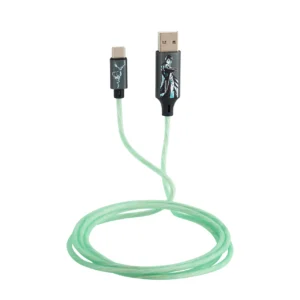 Lazerbuilt Harry Potter Light-Up USB-C Φωτιζόμενο καλώδιο φόρτισης μήκους 1