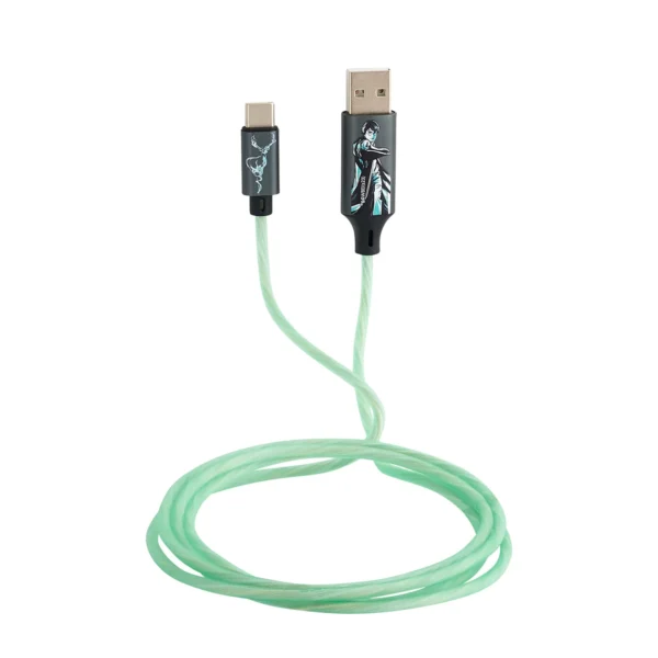 Lazerbuilt Harry Potter Light-Up USB-C Φωτιζόμενο καλώδιο φόρτισης μήκους 1