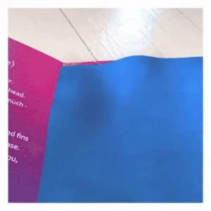 HoloToyz - Jurassic Dinos Interactive 4D AR Book Βιβλίο Επαυξημένης πραγματικότητας με εικόνες που ζωντανεύουν σε κινούμενα σχέδια - Image 5