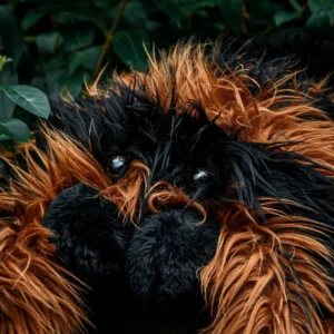 Giant Tarantula Plush XXL – Γιγαντιαία Λούτρινη Ταραντούλα 85 cm - Image 4