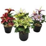 Σετ 12 τεμαχιών Γλαστράκι Μαύρο με Κρίνους 20x ø7,5cm Homie 423131 - Image 2